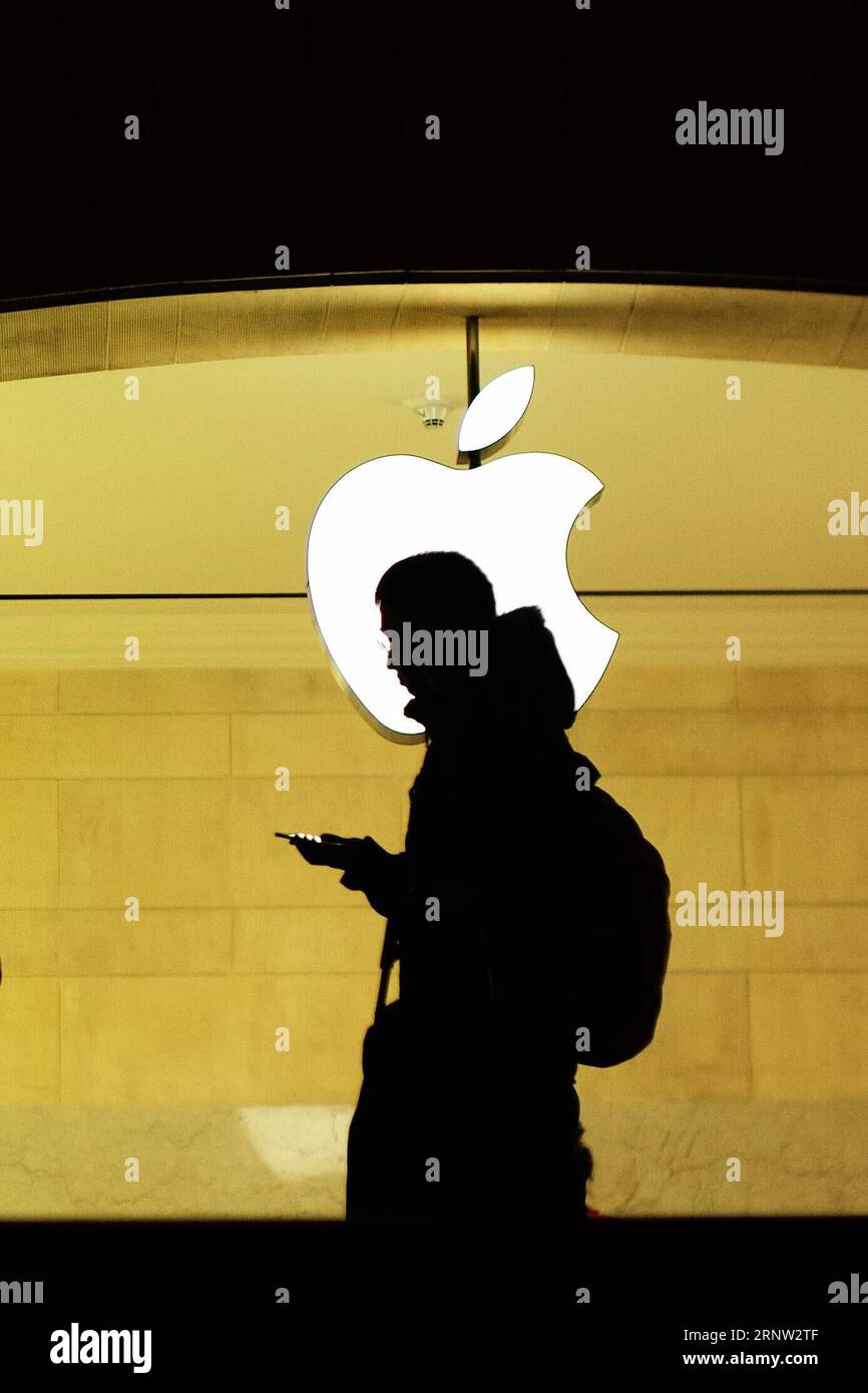 (171201) -- NEW YORK, 1 dicembre 2017 -- Un uomo controlla il suo telefono all'Apple Store all'interno del Grand Central Terminal di New York, Stati Uniti, 30 novembre 2017. Il gigante hi-tech statunitense Apple Inc Giovedì ha lanciato l'innovativa app Apple Heart Study, il primo programma software del suo genere su un dispositivo mobile che utilizza il sensore di frequenza cardiaca di Apple Watch per raccogliere dati sui ritmi cardiaci irregolari e avvisare gli utenti che potrebbero riscontrare ritmi cardiaci anomali. )(yk) U.S.-NEW YORK-APPLE-HEART DISEASE LixMuzi PUBLICATIONxNOTxINxCHN Foto Stock