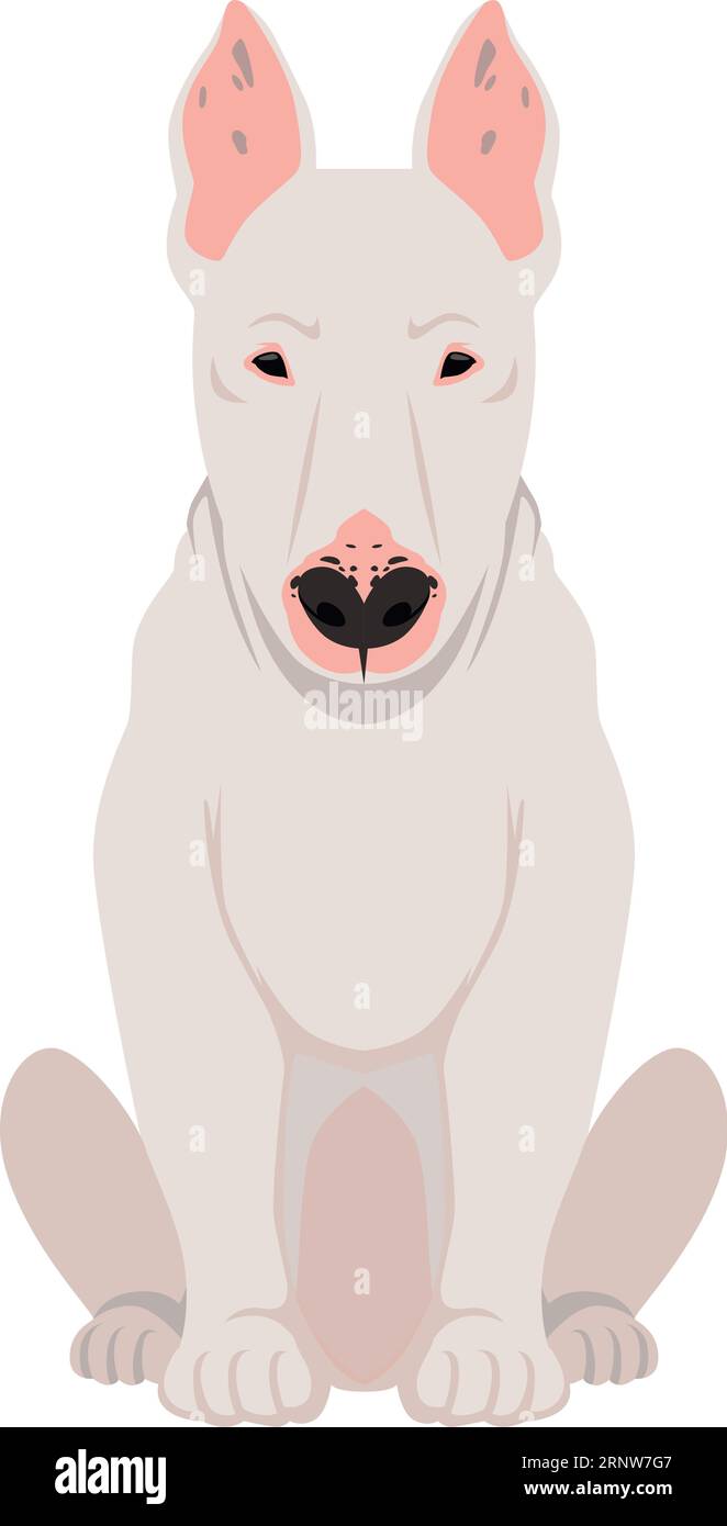 Icona della razza Bull terrier. Cane da cartone animato seduto Illustrazione Vettoriale