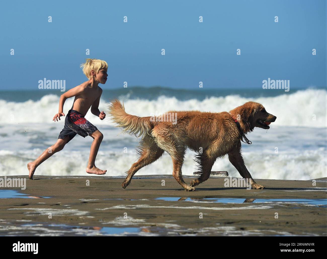 (171227) -- NEW YORK, 27 dicembre 2017 -- Un ragazzo gioca con il suo cane sulla spiaggia di San Francisco, Stati Uniti, 21 ottobre 2017. Dalle sparatorie di Las Vegas all'attacco dei camion di Manhattan, dall'uragano Harvey del Texas agli incendi della California, dall'avanzamento del mercato azionario dei toro all'eclissi solare totale di una volta in un secolo negli Stati Uniti, diciassette foto hanno coperto i momenti impressionanti degli americani durante tutto l'anno. Erano volti tipici degli americani, che simboleggiavano l'anno del 2017 e che riflettevano la duplicità delle loro vite. ) Stati Uniti-AMERICANI IN 2017-YEARENDER WuxXiaoling PUBLICATIONxNOTxINxC Foto Stock