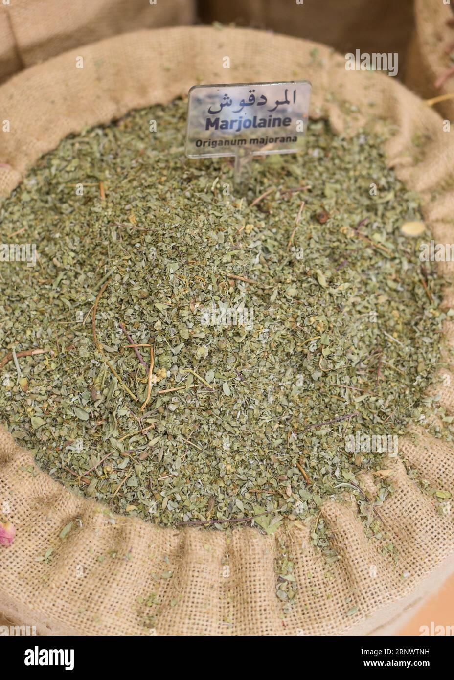 Marrakech, Marocco - 8 febbraio 2023: Marjoram essiccato. Museo delle arti culinarie marocchine Foto Stock
