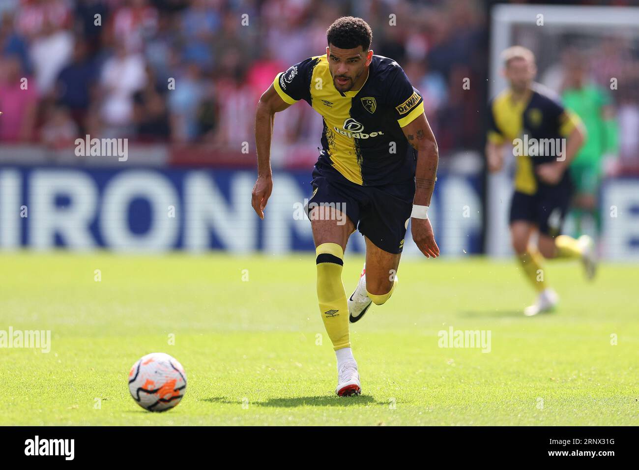 2 settembre 2023; Gtech Community Stadium, Brentford, Londra, Inghilterra; Premier League Football, Brentford contro Bournemouth; Dominic Solanke di Bournemouth Foto Stock