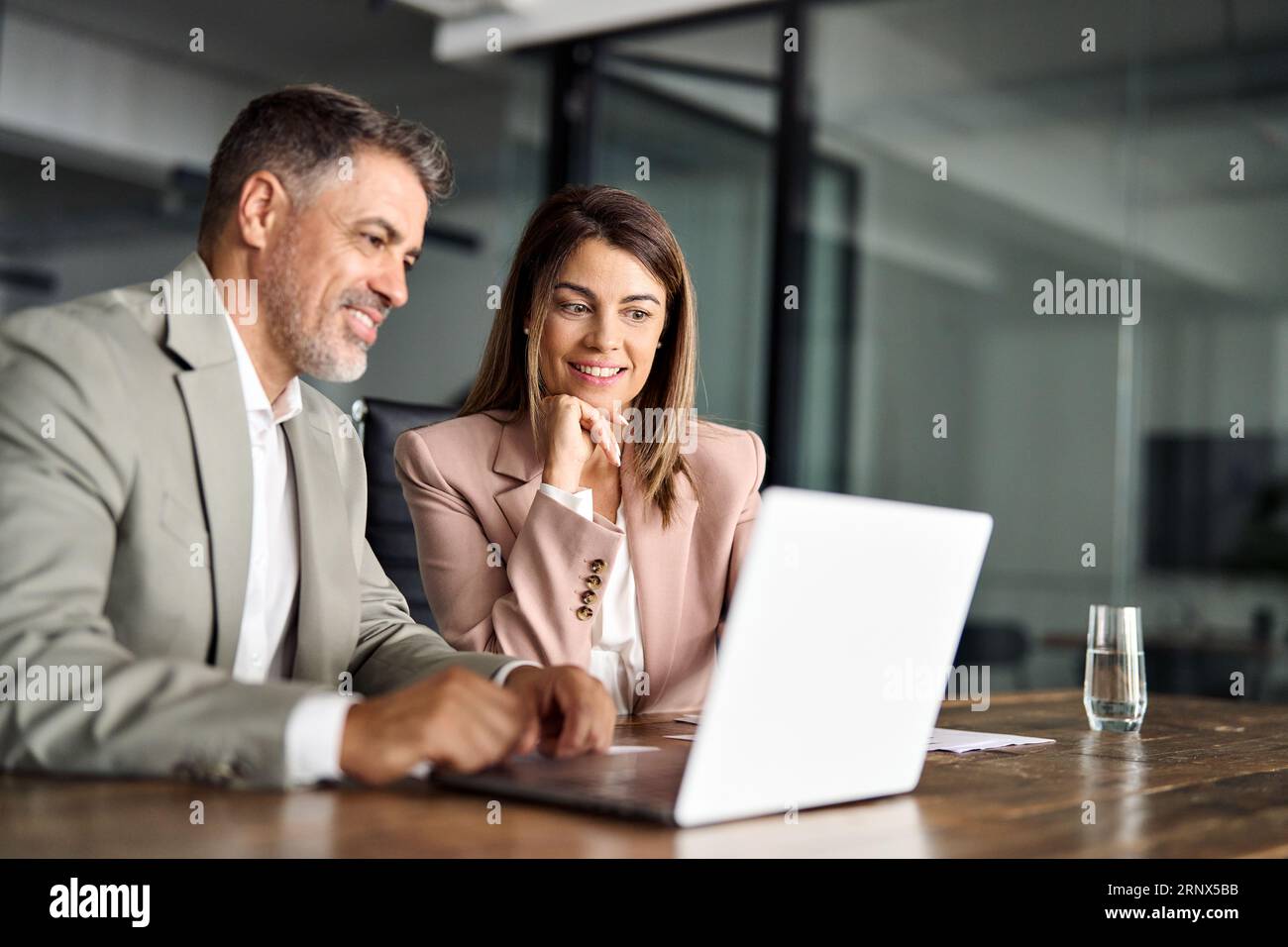 Due dirigenti aziendali professionali che lavorano su un computer portatile durante una riunione d'ufficio. Foto Stock