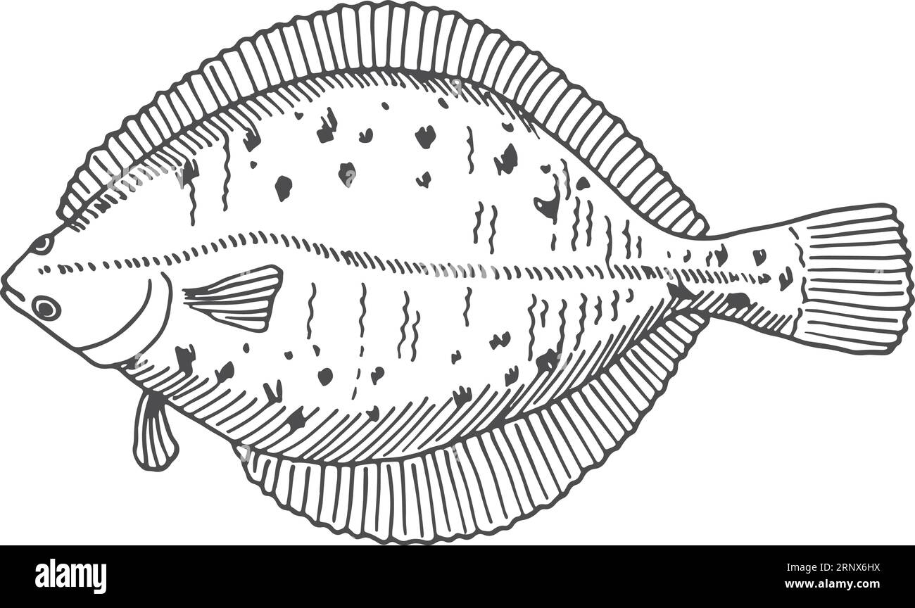 Schizzo del passante. Incisione a mano di pesci di mare Illustrazione Vettoriale