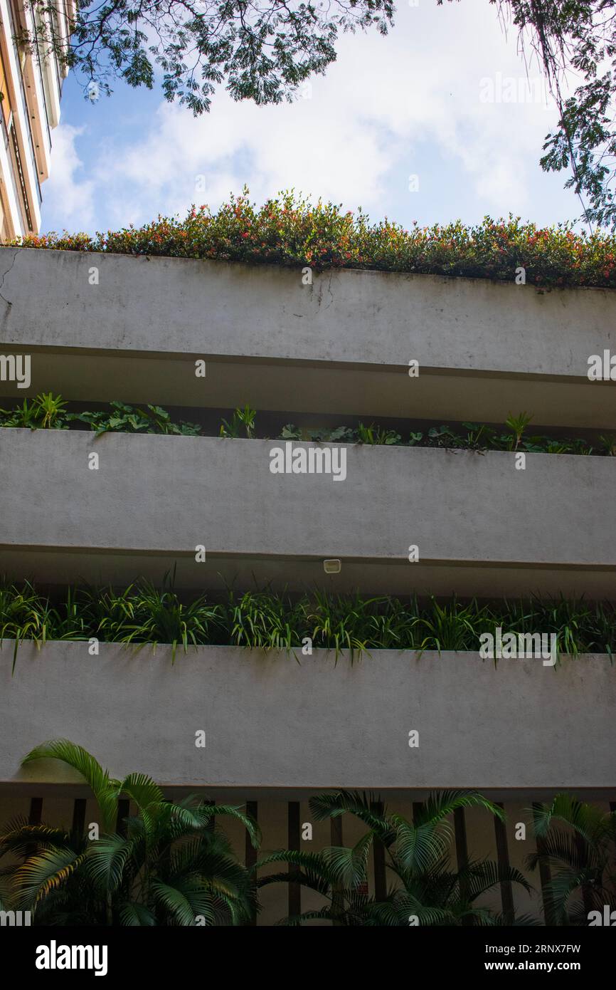 Rio de Janeiro, Brasile, Sud America: Un edificio verde con piante e alberi che crescono su ogni piano, foresta verticale, architettura sostenibile Foto Stock