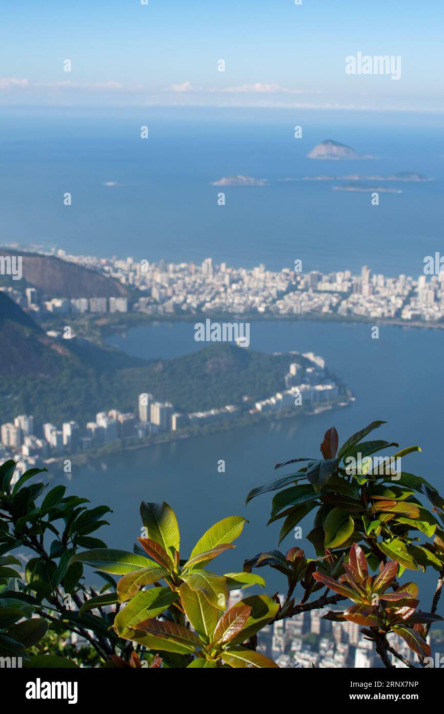 Rio de Janeiro, Brasile: Skyline dal Cristo Redentore sul Monte Corcovado con vista dei grattacieli e della laguna (Lagoa Rodrigo de Freitas) Foto Stock