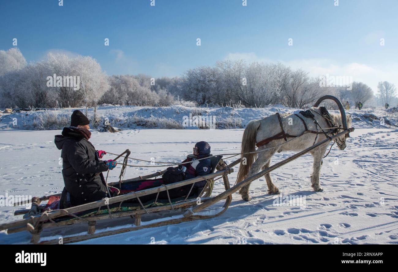 (180120) -- BURQIN, 20 gennaio 2018 -- i turisti cavalcano in slitta trainata da cavalli durante il 2° festival della rima Burqin nella città di Qungkur nella contea di Burqin, regione autonoma dello Xinjiang Uygur della Cina nord-occidentale, 19 gennaio 2017. )(wsw) CHINA-XINJIANG-BURQIN-RIME FESTIVAL (CN) LixJing PUBLICATIONxNOTxINxCHN Foto Stock