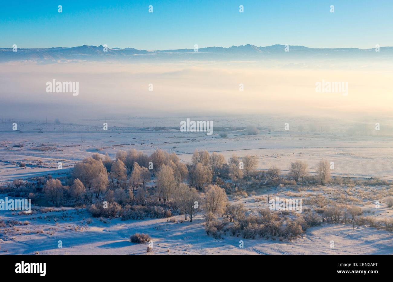 (180120) -- BURQIN, 20 gennaio 2018 -- foto scattata il 19 gennaio 2017 mostra lo scenario all'alba nella città di Qungkur della contea di Burqin, regione autonoma di Xinjiang Uygur della Cina nord-occidentale. )(wsw) CHINA-XINJIANG-BURQIN-RIME FESTIVAL (CN) LixJing PUBLICATIONxNOTxINxCHN Foto Stock