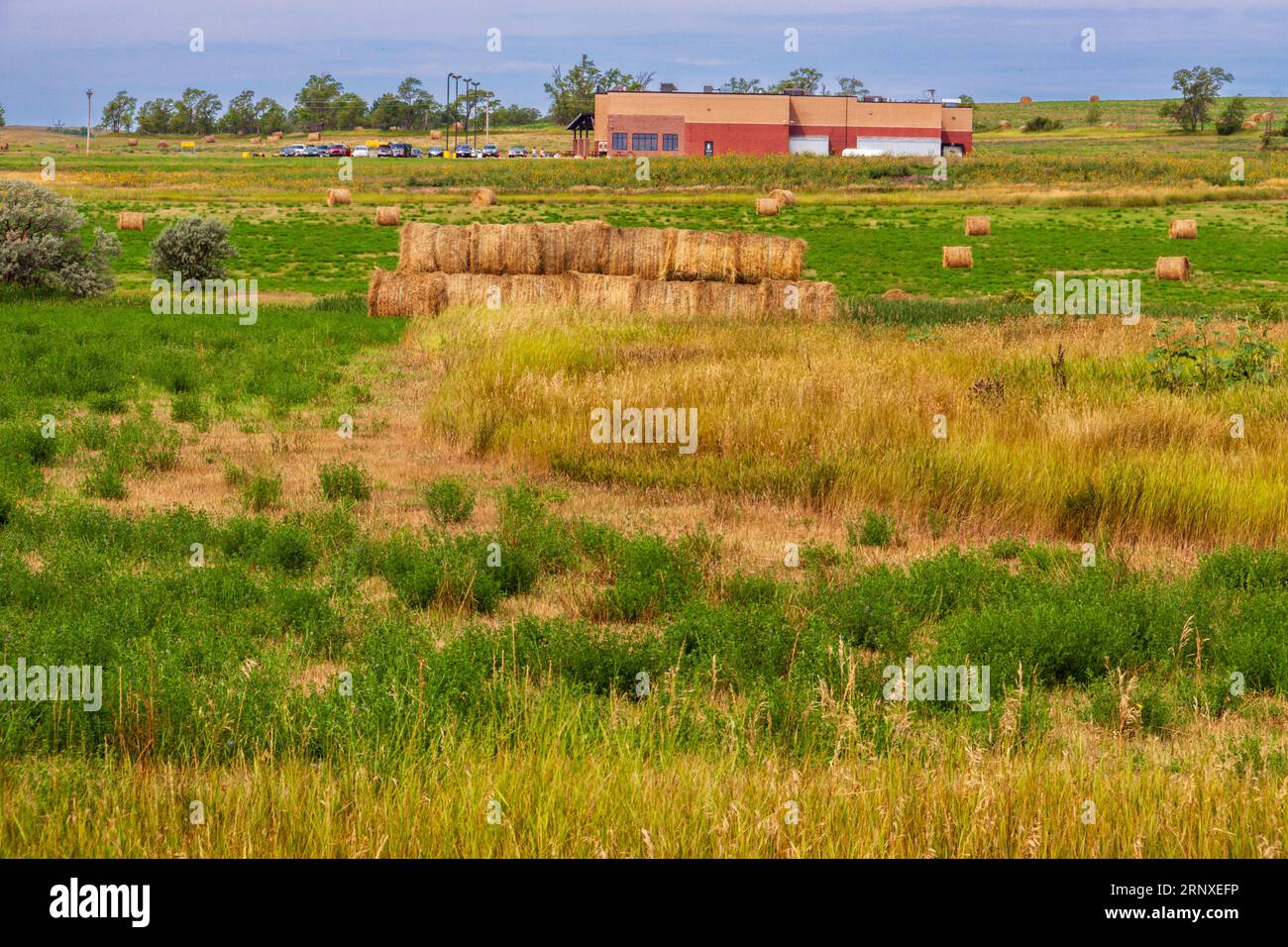 Coltivazione e raccolta del grano in Nebraska a fine estate. Foto Stock