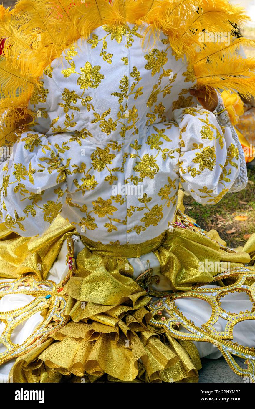 Costume tradizionale di carnevale giallo e oro vivace con piume e motivi ornamentali Foto Stock