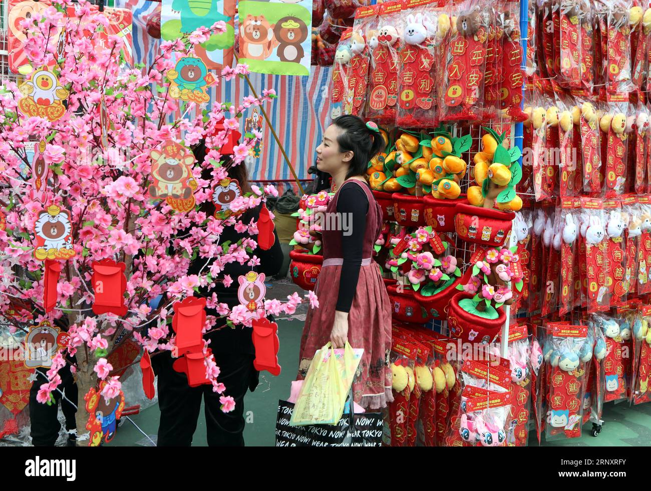 (180211) -- HONG KONG, 11 febbraio 2018 -- le persone selezionano gli ornamenti per il nuovo anno per il prossimo Festival di Primavera sulla Lunar New Year Fair 2018 al Victoria Park, nel sud della Cina, a Hong Kong, 10 febbraio 2018. La fiera di sette giorni che è iniziata sabato attira un gran numero di persone da visitare. ) (ly) CHINA-HONG KONG-LUNAR NEW YEAR FESTIVAL-FAIR LixPeng PUBLICATIONxNOTxINxCHN Foto Stock