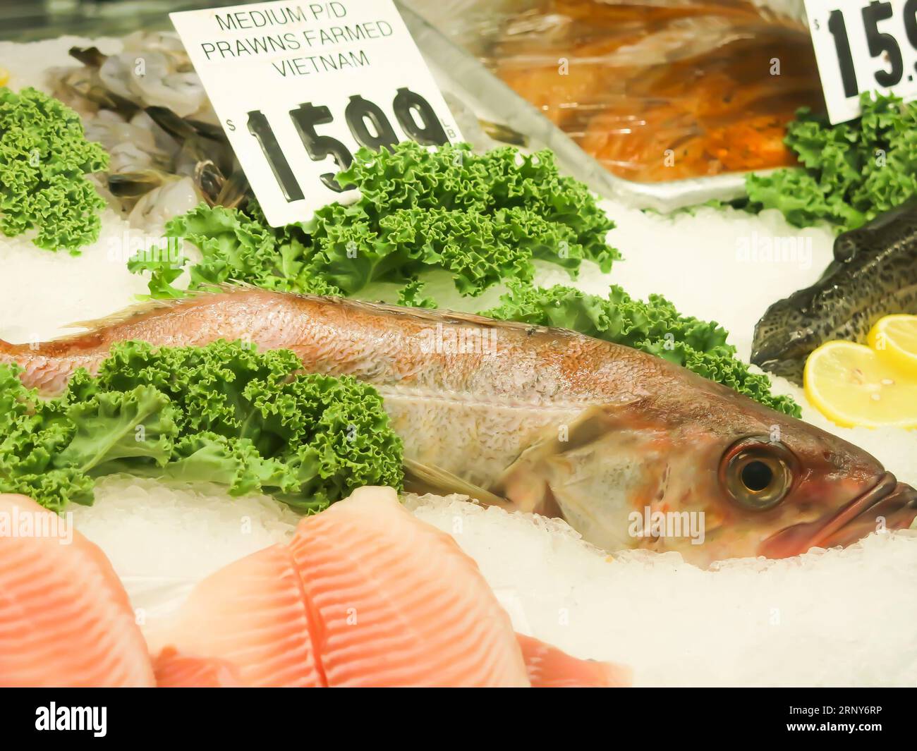 Mostra di pesci al supermercato americano locale Foto Stock
