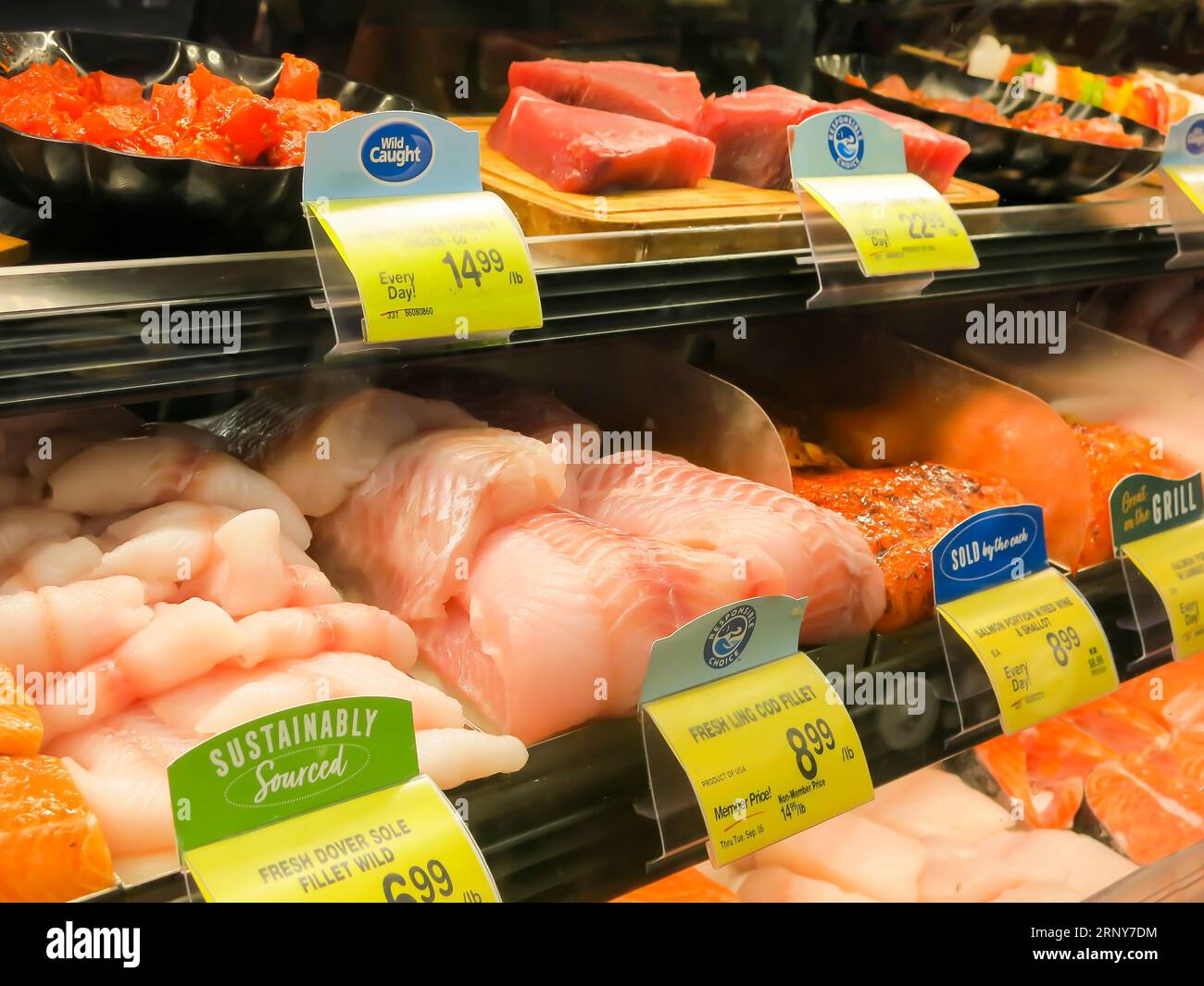 Esposizione dei pesci nel supermercato locale Foto Stock