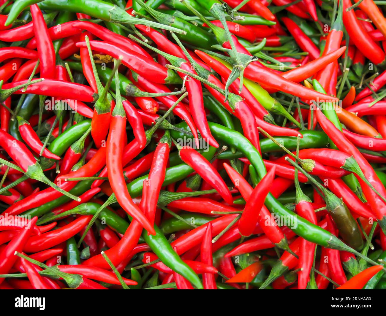 Il peperoncino tailandese è disponibile per l'acquisto presso il mercato agricolo locale Foto Stock