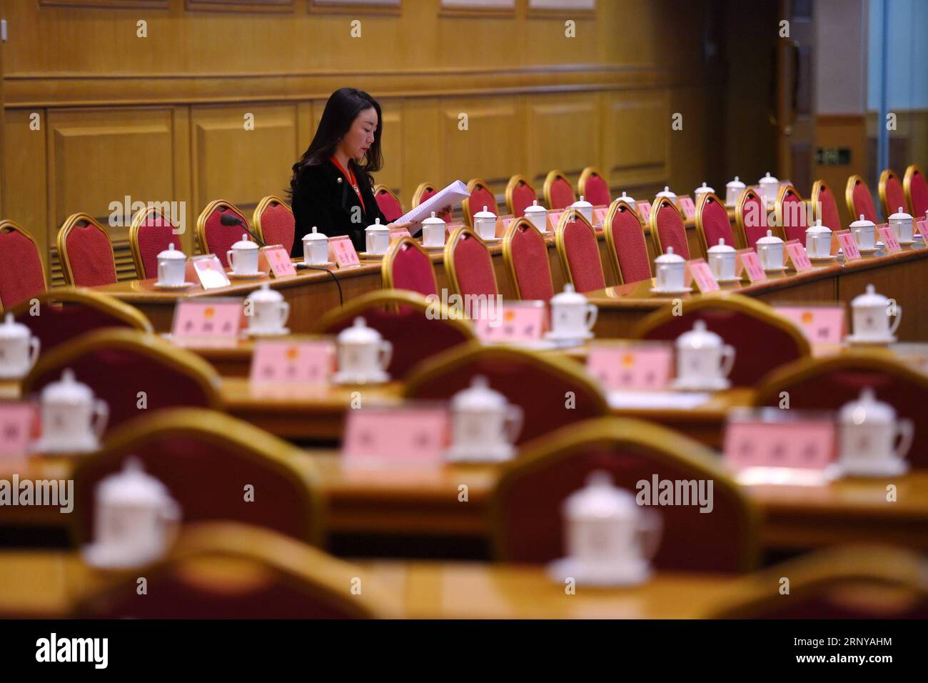 (180307) -- PECHINO, 7 marzo 2018 -- la foto del file scattata il 5 marzo 2017 mostra Zhang Xiaoqing, uno staff del Sunward Intelligent Equipment Group e poi un deputato del 12° Congresso Nazionale del popolo (NPC), è visto in una sala conferenze a Pechino, capitale della Cina. Zhang Xiaoqing viene rieletto deputato del 13° NPC, che ha convocato la sua prima sessione all'inizio di marzo. Tra i 2.980 deputati, più donne, agricoltori e lavoratori, ma meno funzionari sedevano nella più alta legislatura cinese. La nuova formazione ha 742 donne, che rappresentano il 24,9% del totale, in aumento di 1,5 punti percentuali rispetto al precedente NPC. A t Foto Stock