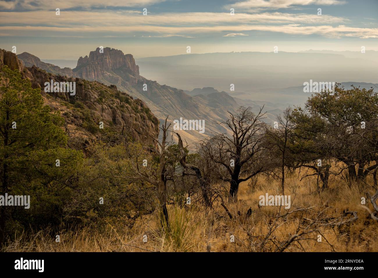 Casa grande Peak si affaccia sul Canyon dall'Emory Peak Trail a Big Bend Foto Stock