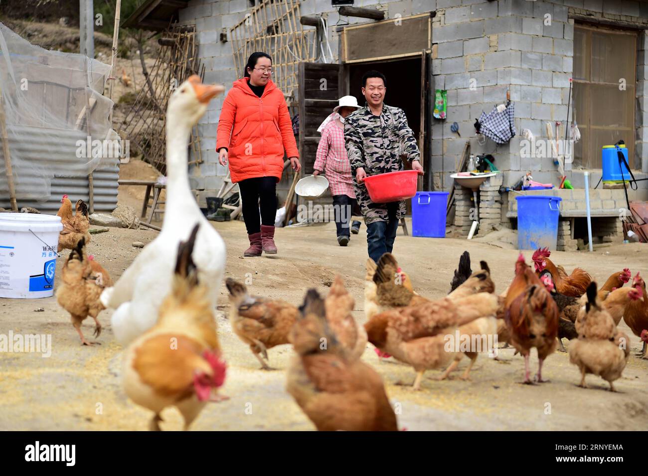 (180315) -- PECHINO, 15 marzo 2018 -- la foto del file scattata il 6 marzo 2017 mostra che Wang Zhen (L) visita una fattoria di polli in una famiglia povera al villaggio di Heping nella contea di Yuexi, nella provincia di Anhui della Cina orientale. Wang Zhen della Health and Family Planning Commission nella contea di Yuexi è stato inviato a Heping Village dall'ottobre 2014. Ha lavorato lì come segretaria del primo partito per 3 anni per svolgere un lavoro di alleviamento della povertà. La Cina è determinata a costruirsi in un moderno paese socialista sostenuto da equità e giustizia attraverso una riduzione mirata della povertà Foto Stock