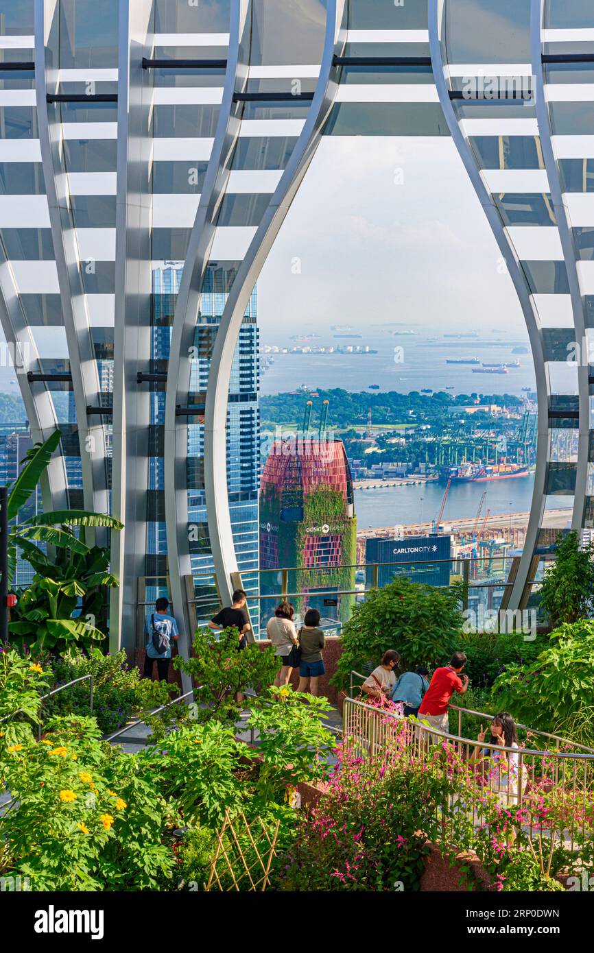 Viste sul CBD verso lo stretto di Singapore dal giardino pensile al 51° piano dell'edificio CapitaSpring progettato in stile biofilico a Singapore Foto Stock