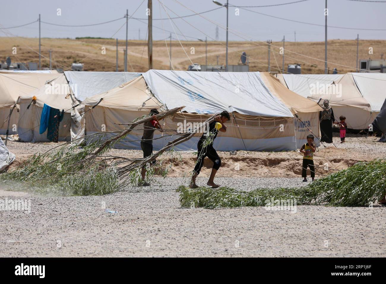 (180708) -- BAGHDAD, -- la gente sposta rami d'albero nel campo Hasansham U3, Iraq, il 7 luglio 2018. Istituito dall'UNHCR il 3 novembre 2016, Hasansham U3 Camp fornisce rifugio per le famiglie sfollate interne fuggite principalmente da Mosul. ) (dtf) IRAQ-HASANSHAM-IDP CAMP KhalilxDawood PUBLICATIONxNOTxINxCHN Foto Stock