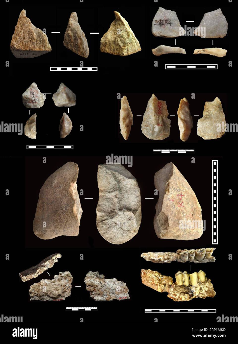 (180714) -- LANTIAN, 14 luglio 2018 -- la grafica mostra gli strumenti paleplitici scavati e i fossili di animali dal più antico strato di suolo, da 2,1 a 2,12 milioni di anni fa. Gli antichi strumenti scoperti nella contea di Lantian, nella provincia dello Shaanxi della Cina nordoccidentale da un gruppo di ricerca composto da archeologi cinesi e britannici suggeriscono che potrebbe esserci stata una presenza di ominidi al di fuori dell'Africa prima di quanto si pensasse in precedenza, secondo uno studio pubblicato mercoledì in natura. In undici diversi strati di terreni fossili, sono stati trovati 80 manufatti in pietra, tra i quali il più antico può essere datato a 2,12 milioni di anni Foto Stock