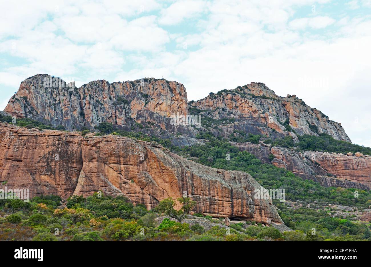 Scogliere sopra il fiume Argens vicino a Roquebrune-sur-Argens nel dipartimento del Var, regione costiera Provence-Alpes-Azure in Francia Foto Stock