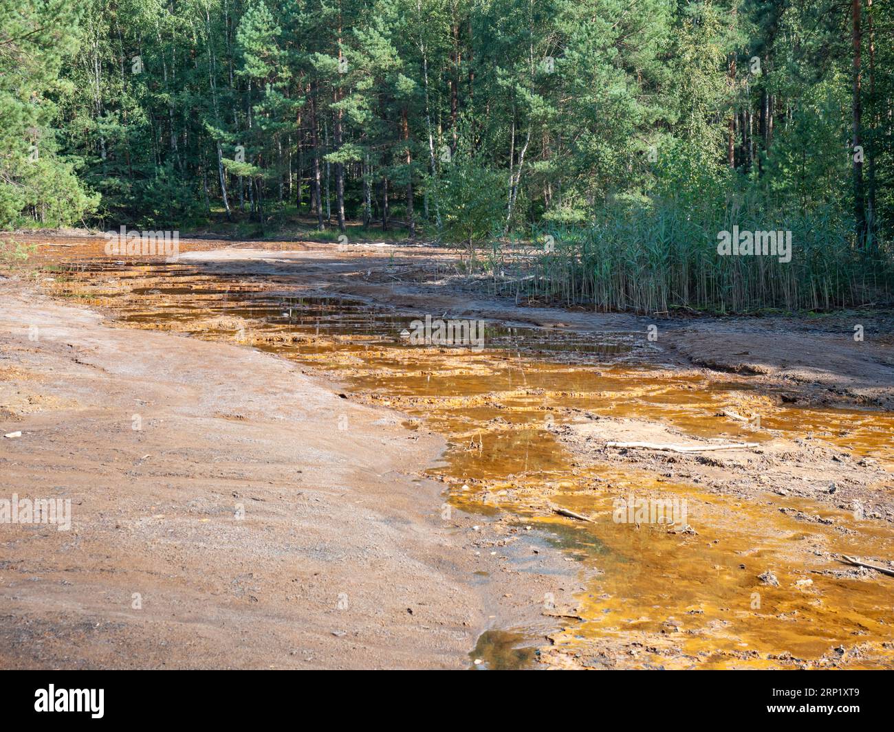 Fango colorato al ruscello che scorre verso il lago avvelenato nell'ex miniera a cielo aperto di Leknica Muskau, Polonia Foto Stock