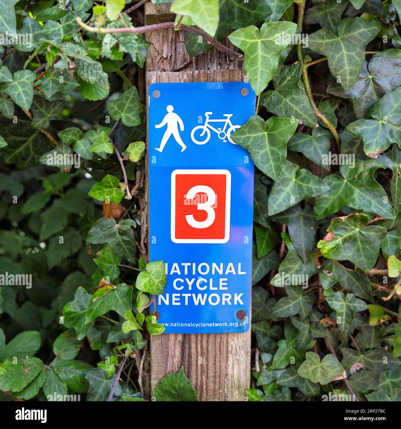 Segnaletica stradale, blu e rosso, segnaletica per ciclisti e pedoni, National Cycle Route 3, pista ciclabile per lunghe distanze, Cornovaglia, Gran Bretagna Foto Stock