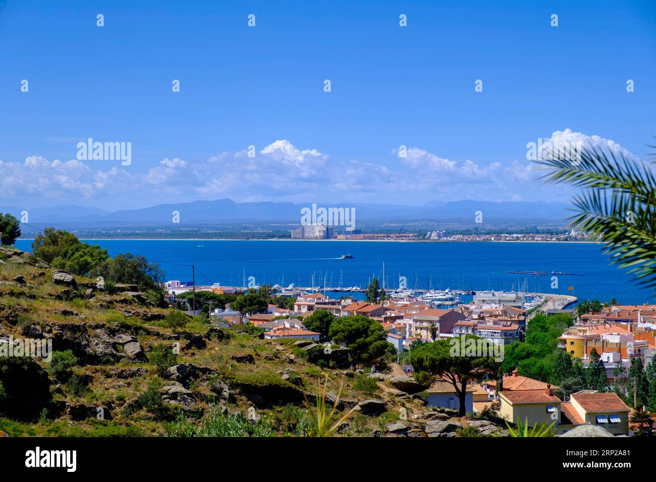 Rose con il Golfo delle Rose, vicino a Girona, Catalogna, Costa Brava, Spagna Foto Stock