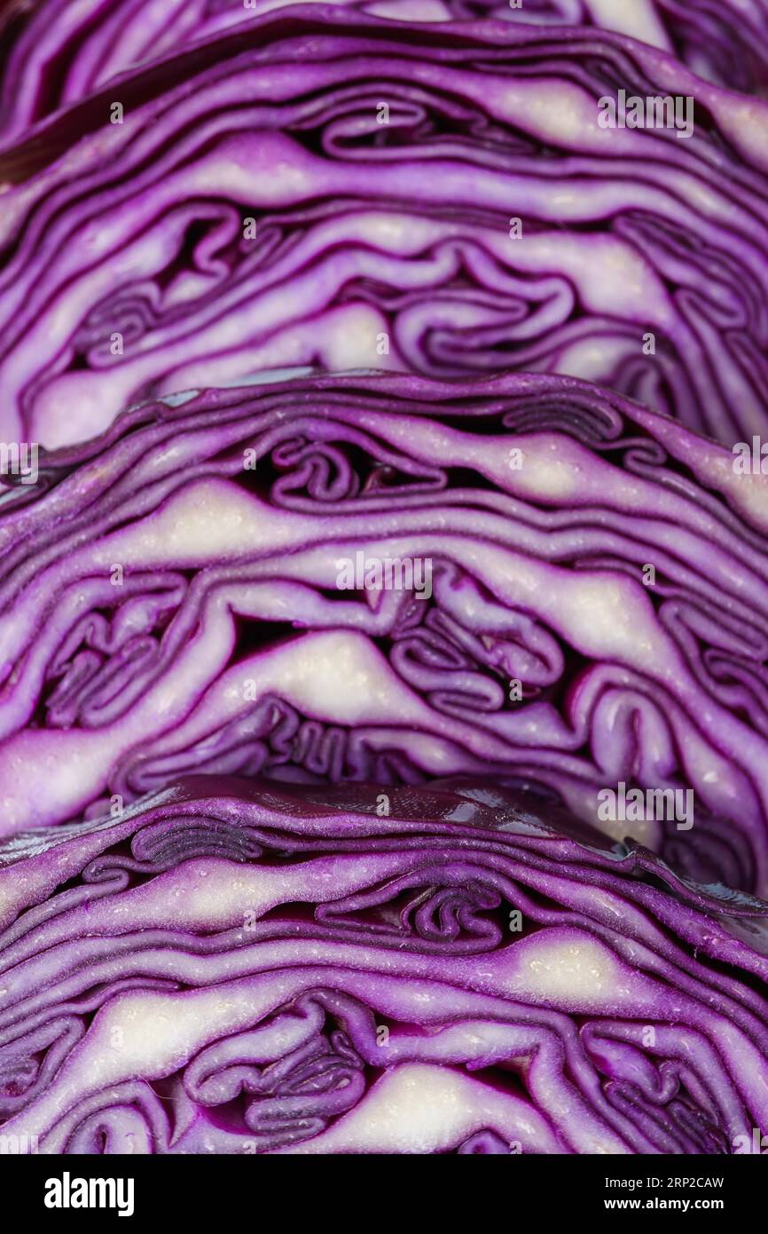 Primo piano, foto macro del cavolo viola Foto Stock