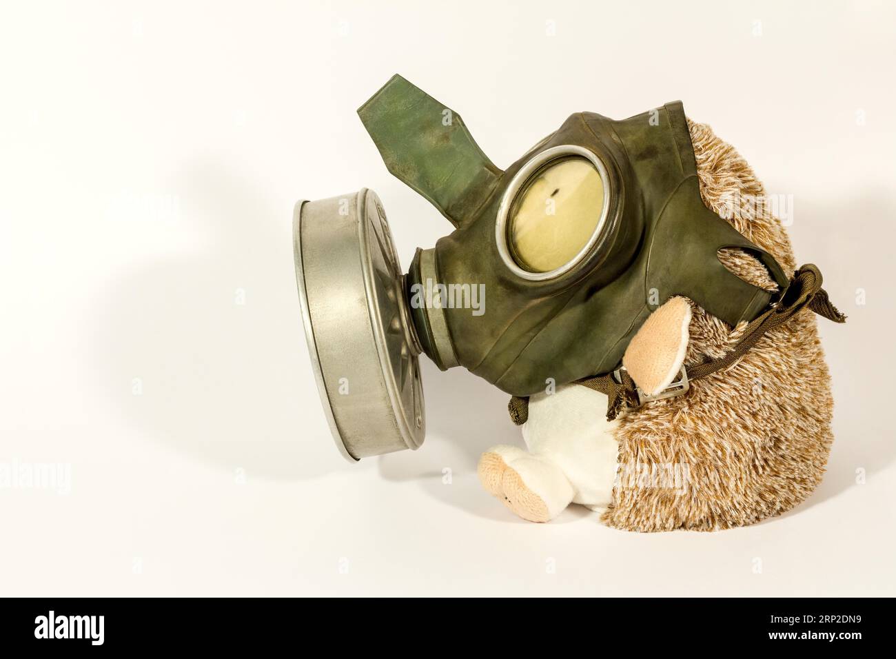 Peluche (riccio) in una vecchia maschera antigas su sfondo bianco. Immagine divertente Foto Stock