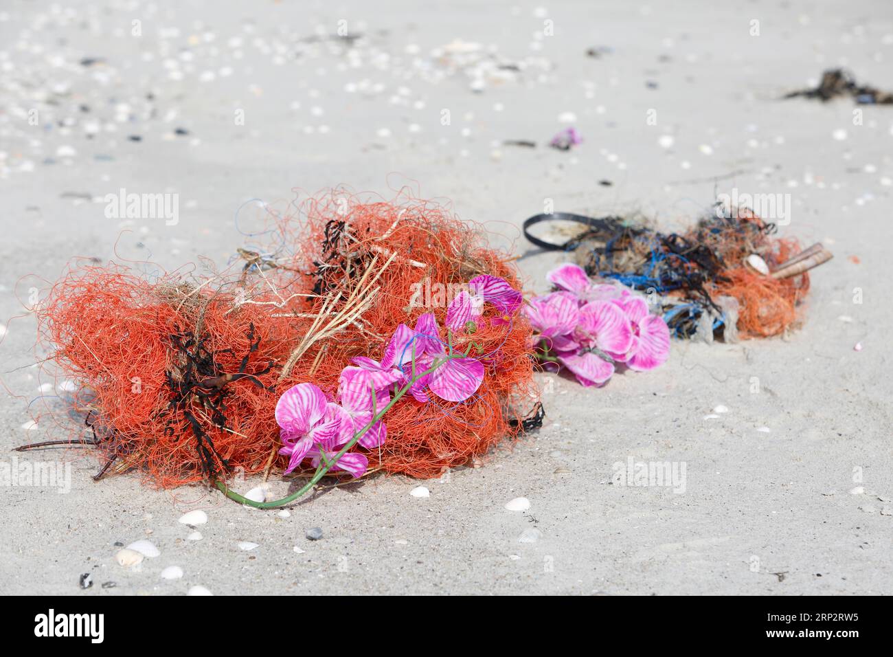 Rifiuti marini lavati sulla spiaggia, impatto umano sull'ecosistema marino, corde e plastica, Minsener Oog, bassa Sassonia, Germania Foto Stock