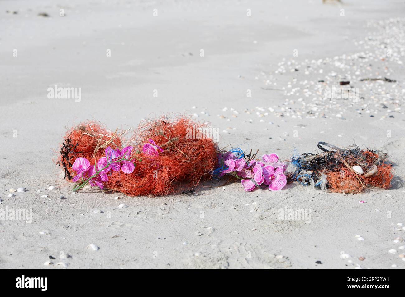 Rifiuti marini lavati sulla spiaggia, impatto umano sull'ecosistema marino, corde e plastica, Minsener Oog, bassa Sassonia, Germania Foto Stock