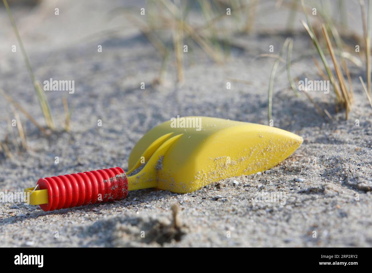 Rifiuti marini lavati sulla spiaggia, impatto umano sull'ecosistema marino, Minsener Oog, bassa Sassonia, Germania Foto Stock
