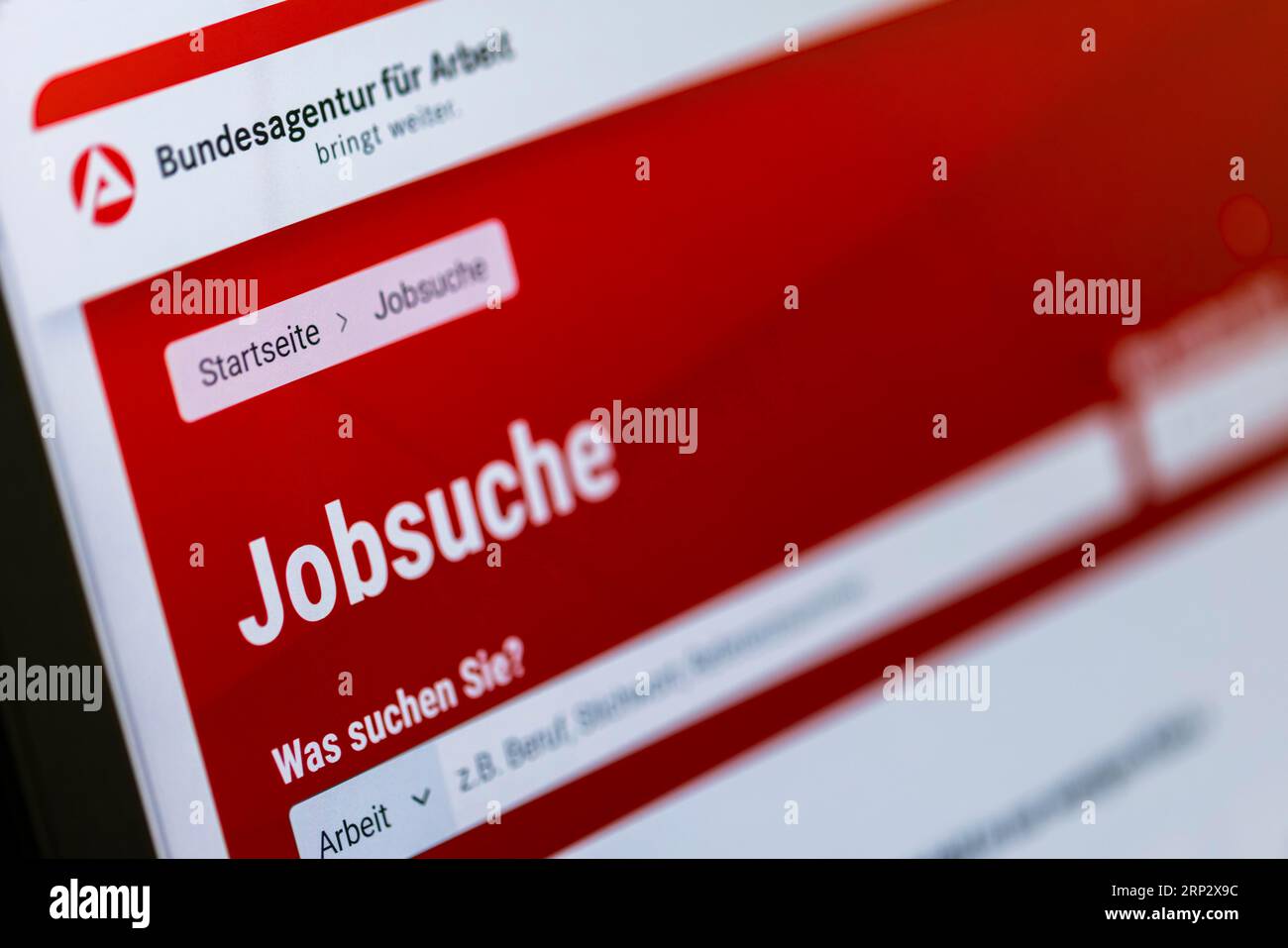 Sito Web dell'Agenzia federale per l'impiego su un monitor per notebook con la funzione di ricerca di offerte di lavoro su Internet, Colonia, Nord Foto Stock