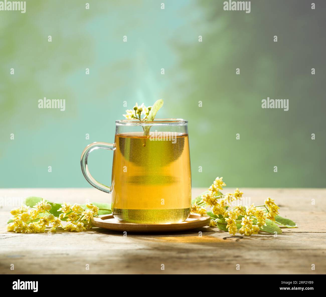 Tè caldo al lime con fiori di lime freschi sul tavolo Foto Stock