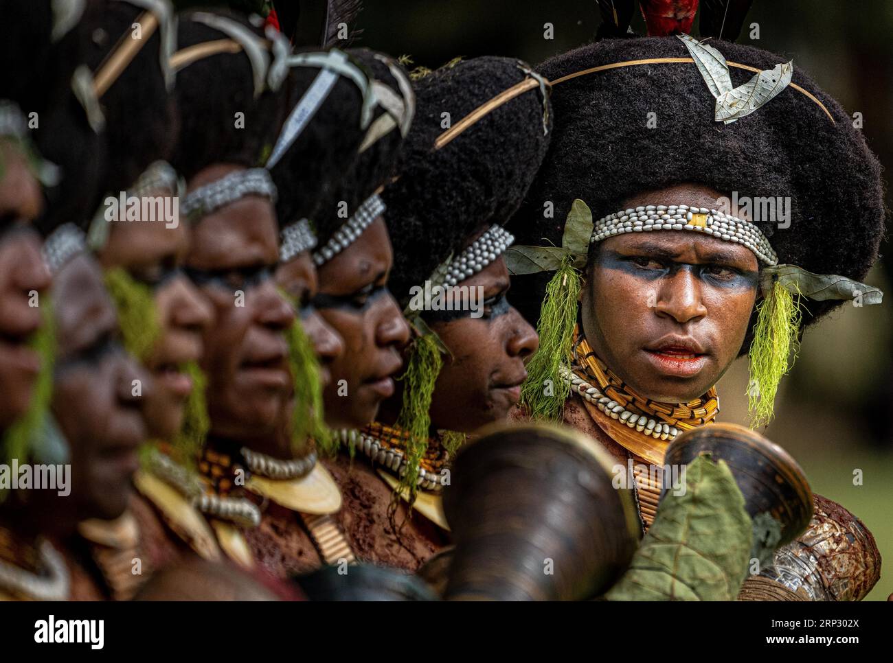 Ballerini in pittura di guerra, Sing Sing, Festival, Mount Hagen, Papua nuova Guinea Foto Stock