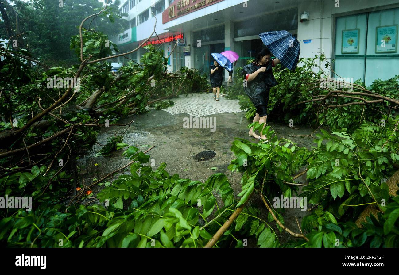 (180916) -- SHENZHEN, 16 settembre 2018 -- Pedestrains Walk Before Broken Branches at Nanshan District in Shenzhen, South China S Guangdong Province, 16 settembre 2018. Secondo il Centro Meteorologico Nazionale della Cina, Mangkhut dovrebbe atterrare nel Guangdong tra domenica pomeriggio e sera. (Yxb) CHINA-GUANGDONG-TYPHOON MANGKHUT (CN) MaoxSiqian PUBLICATIONxNOTxINxCHN Foto Stock