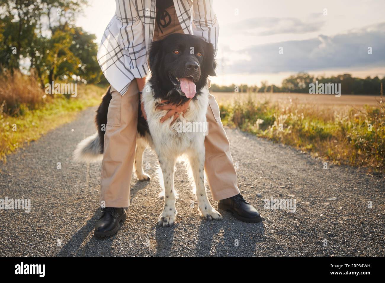 Ragazza adolescente che abbraccia il suo grande cane sul sentiero al tramonto. Simpatico cane da montagna ceco con proprietario di animali domestici. Foto Stock