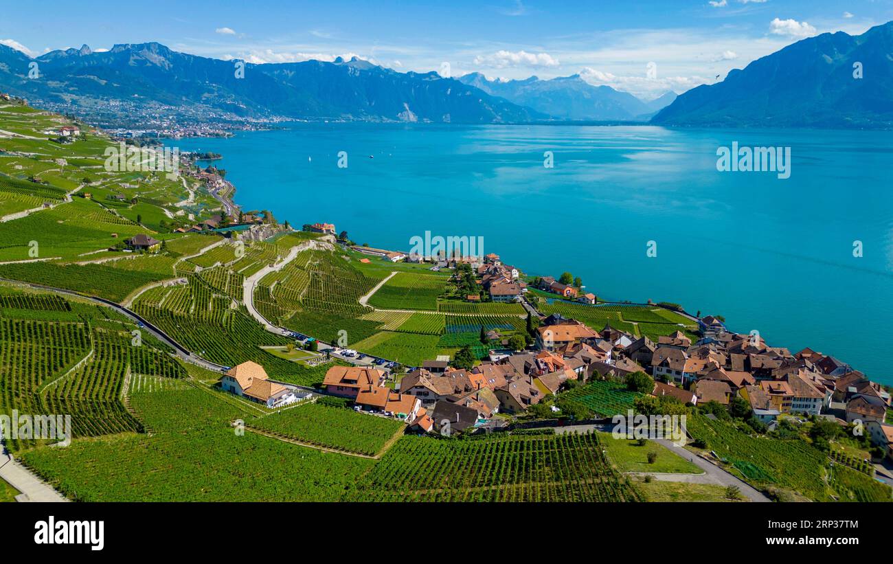 Vigneti terrazzati di Lavaux, vicino a Chexbres. Sito patrimonio dell'umanità dell'UNESCO dal 2007 affacciato sul lago di Ginevra nel Cantone di Vaud, Svizzera. Foto Stock