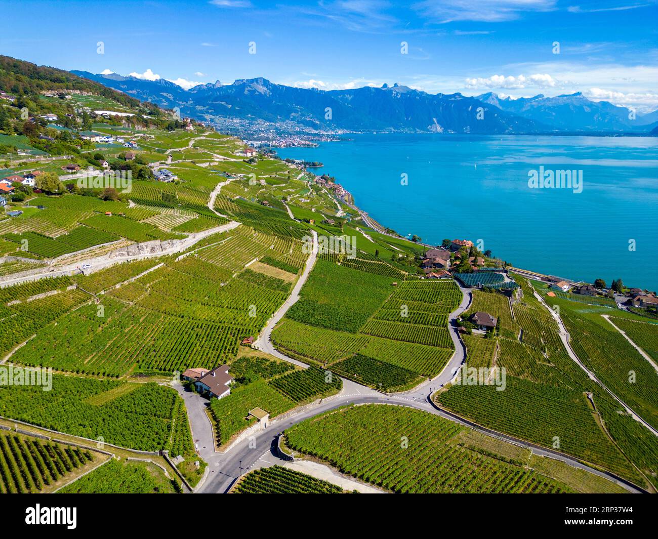 Vigneti terrazzati di Lavaux, vicino a Chexbres. Sito patrimonio dell'umanità dell'UNESCO dal 2007 affacciato sul lago di Ginevra nel Cantone di Vaud, Svizzera. Foto Stock