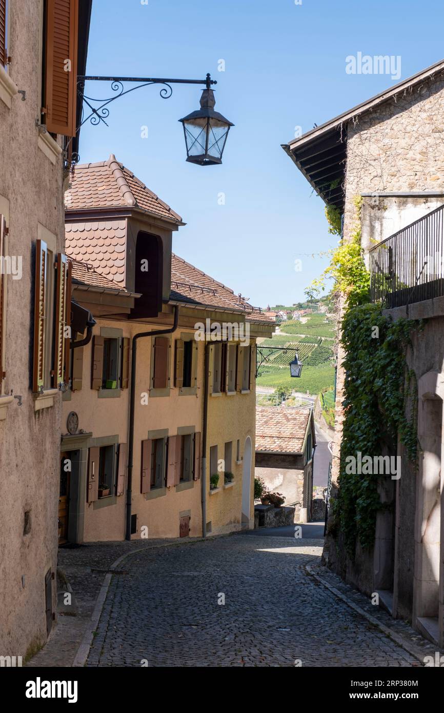 Pittoresco villaggio di Saint Saphorin, nella regione vinicola di Lavaux, Cantone di Vaud, Svizzera. Foto Stock