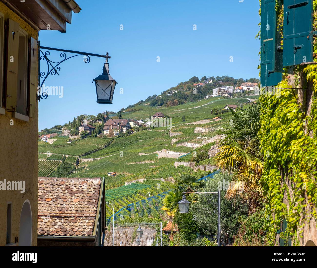 Pittoresco villaggio di Saint Saphorin, nella regione vinicola di Lavaux, Cantone di Vaud, Svizzera. Foto Stock