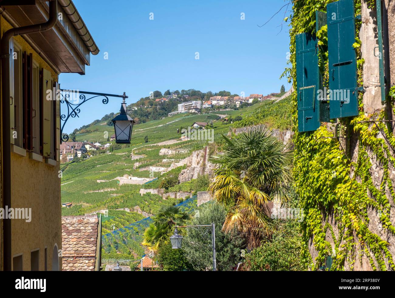 Pittoresco villaggio di Saint Saphorin, nella regione vinicola di Lavaux, Cantone di Vaud, Svizzera. Foto Stock