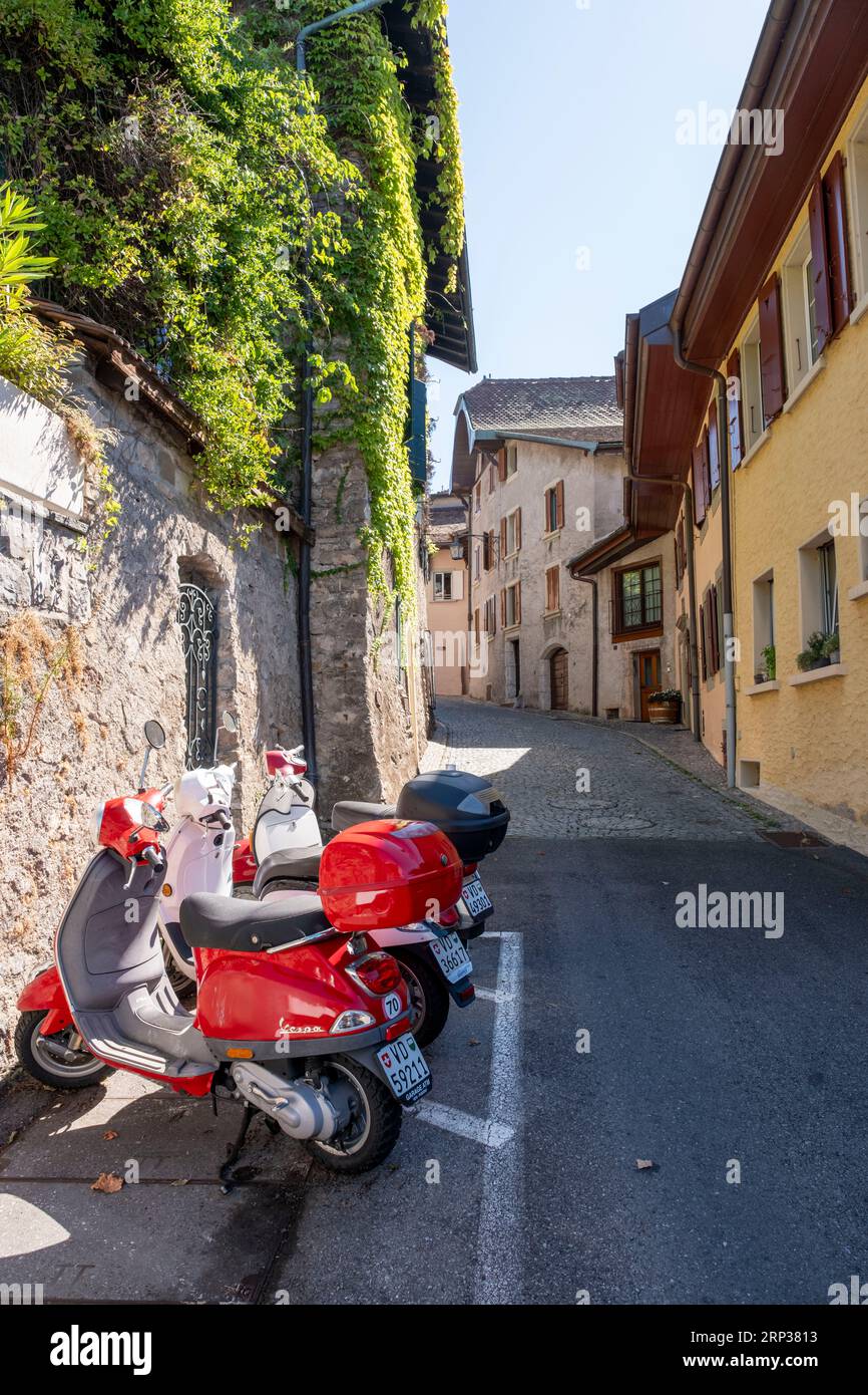 Pittoresco villaggio di Saint Saphorin, nella regione vinicola di Lavaux, Cantone di Vaud, Svizzera. Foto Stock
