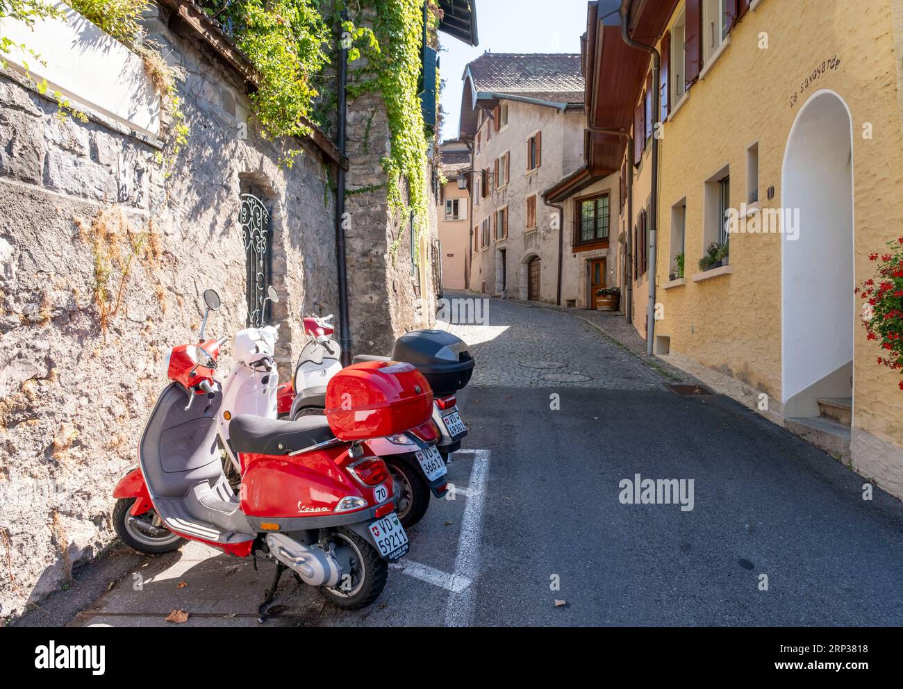 Pittoresco villaggio di Saint Saphorin, nella regione vinicola di Lavaux, Cantone di Vaud, Svizzera. Foto Stock
