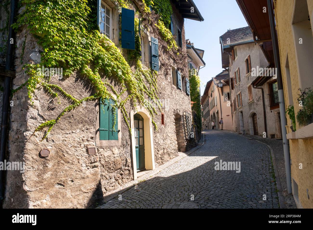 Pittoresco villaggio di Saint Saphorin, nella regione vinicola di Lavaux, Cantone di Vaud, Svizzera. Foto Stock