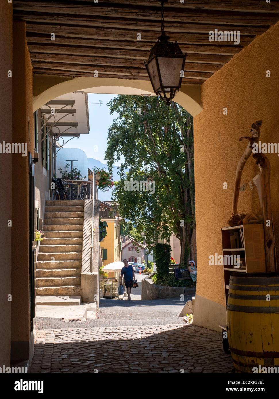 Pittoresco villaggio di Saint Saphorin, nella regione vinicola di Lavaux, Cantone di Vaud, Svizzera. Foto Stock