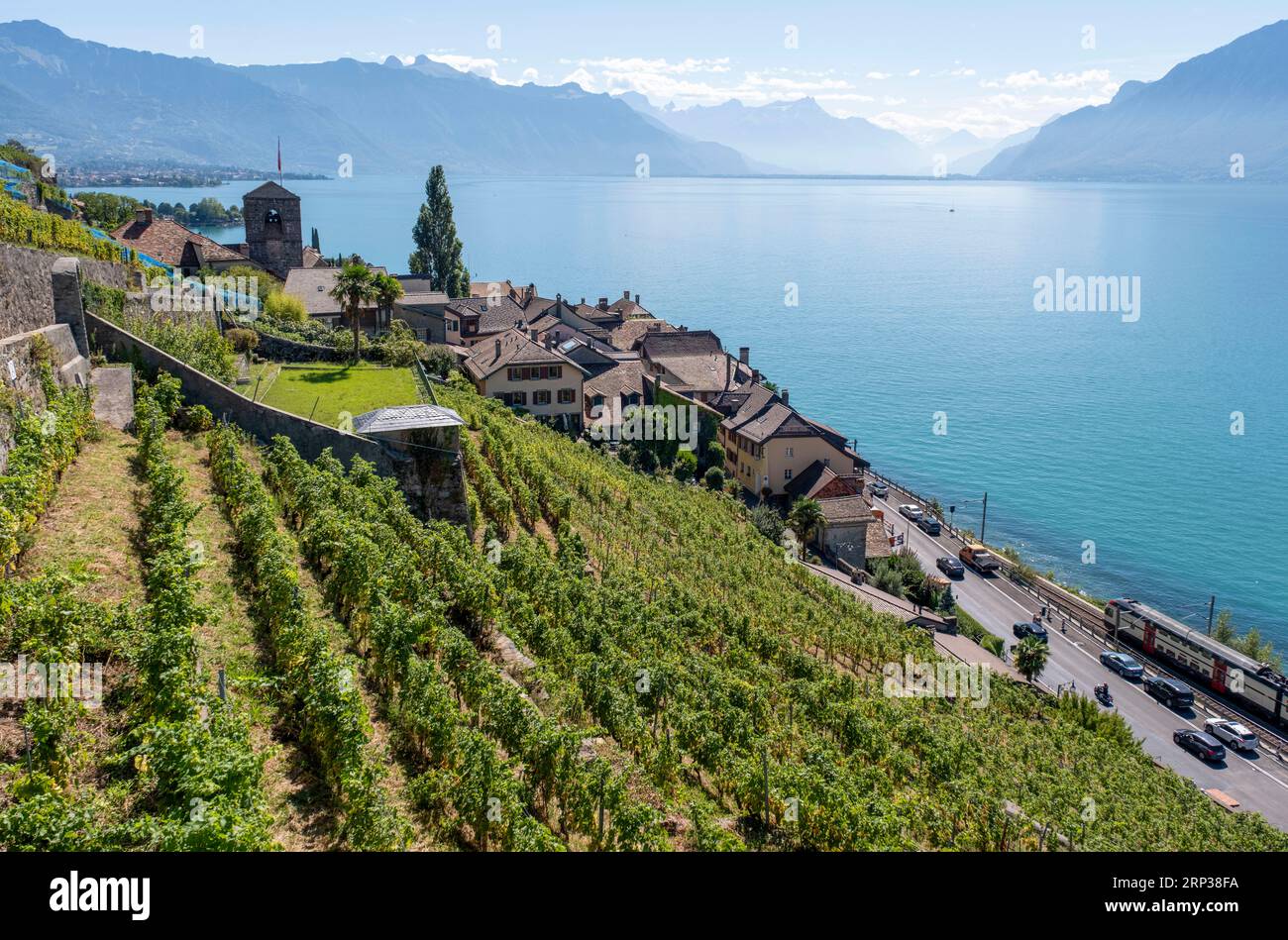 Vigneti terrazzati di Lavaux, Saint Saphorin, sito patrimonio dell'umanità dell'UNESCO dal 2007, affacciato sul lago di Ginevra nel Canton Vaud, Svizzera. Foto Stock