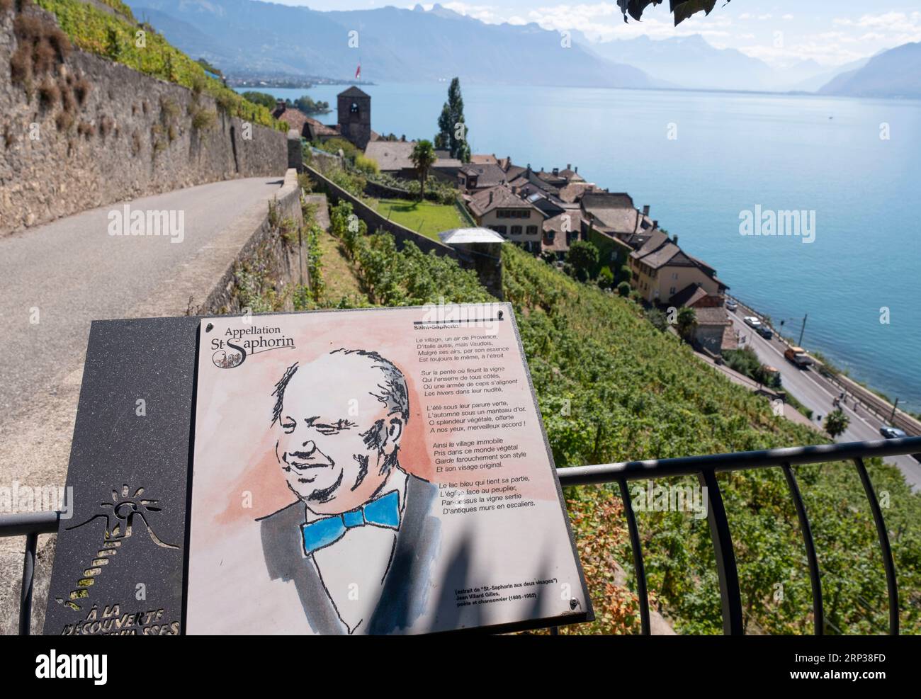 Vigneti terrazzati di Lavaux, Saint Saphorin, sito patrimonio dell'umanità dell'UNESCO dal 2007, affacciato sul lago di Ginevra nel Canton Vaud, Svizzera. Foto Stock