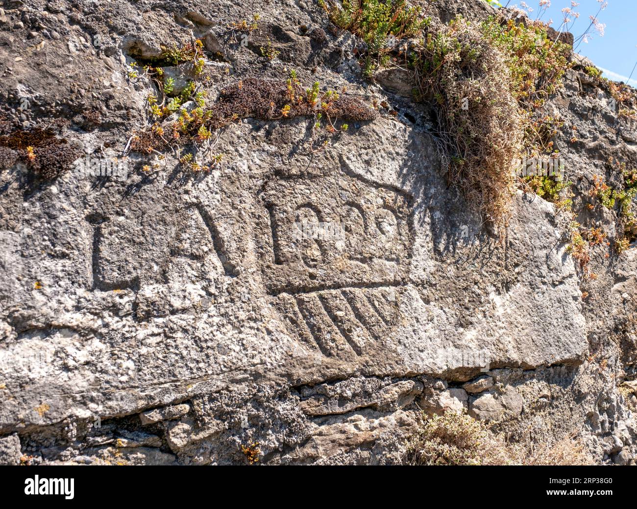 Iscrizione su muro di pietra, Saint Saphorin, regione vinicola di Lavaux, Cantone di Vaud, Svizzera. Foto Stock