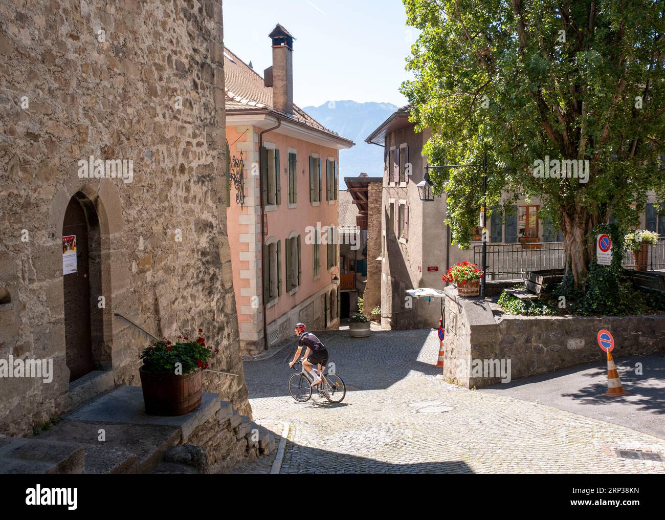 Ciclista nelle strette stradine di Saint Saphorin, regione vinicola di Lavaux, Cantone di Vaud, Svizzera. Foto Stock
